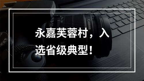 永嘉芙蓉村，入选省级典型！