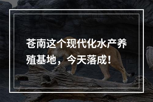 苍南这个现代化水产养殖基地，今天落成！