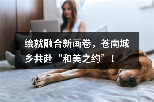 绘就融合新画卷，苍南城乡共赴“和美之约”！