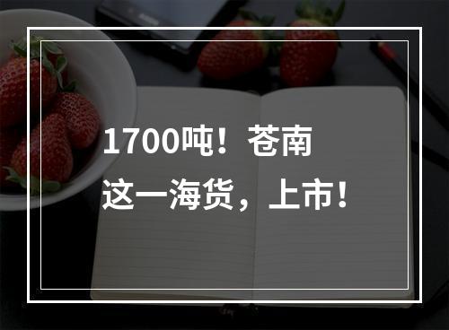 1700吨！苍南这一海货，上市！
