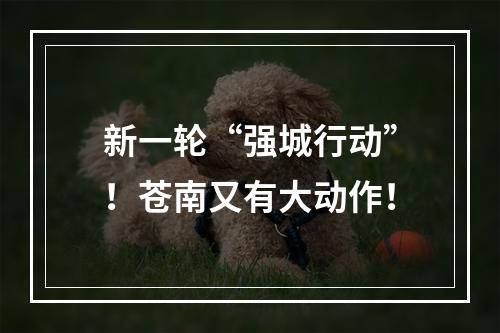 新一轮“强城行动”！苍南又有大动作！