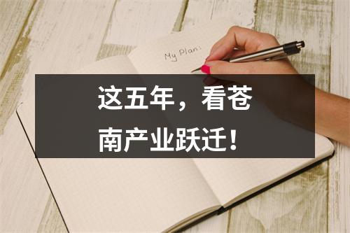 这五年，看苍南产业跃迁！