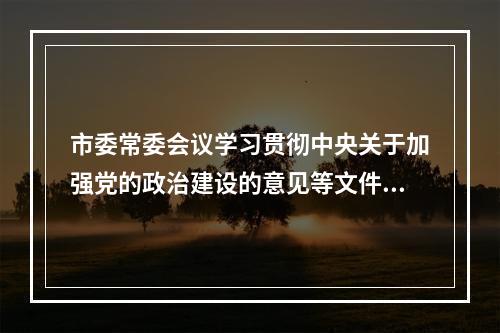 市委常委会议学习贯彻中央关于加强党的政治建设的意见等文件精神