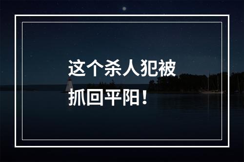 这个杀人犯被抓回平阳！