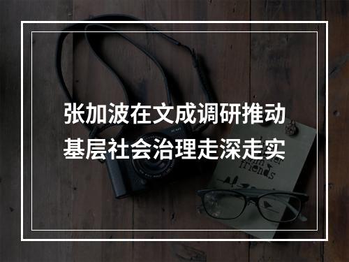 张加波在文成调研推动基层社会治理走深走实