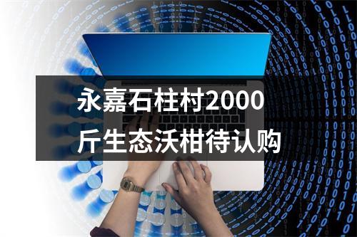 永嘉石柱村2000斤生态沃柑待认购