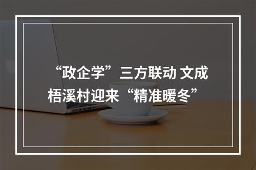 “政企学”三方联动 文成梧溪村迎来“精准暖冬”