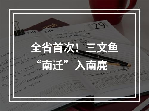 全省首次！三文鱼“南迁”入南麂