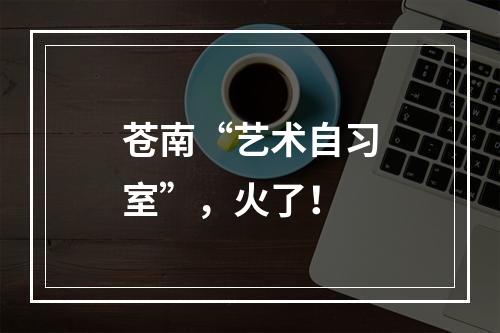 苍南“艺术自习室”，火了！