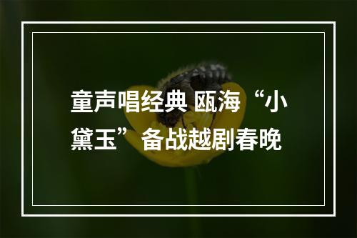 童声唱经典 瓯海“小黛玉”备战越剧春晚