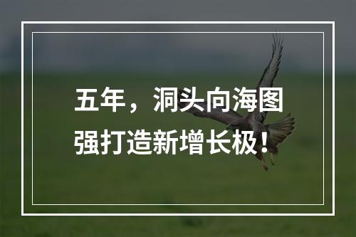 五年，洞头向海图强打造新增长极！