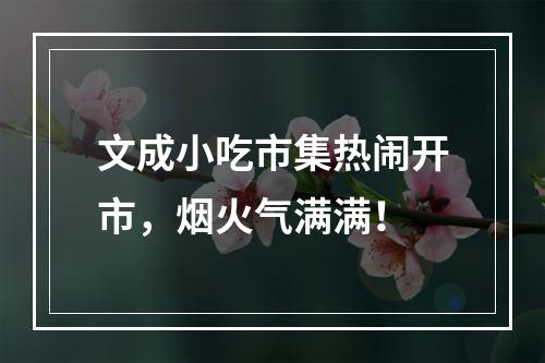 文成小吃市集热闹开市，烟火气满满！