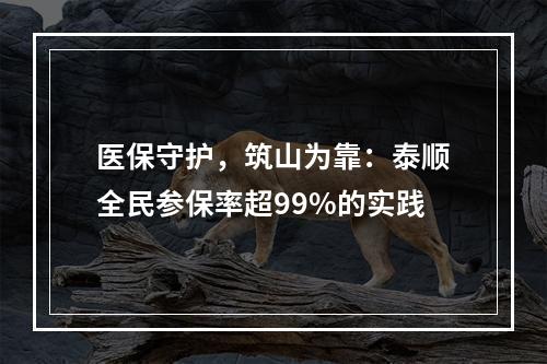 医保守护，筑山为靠：泰顺全民参保率超99%的实践