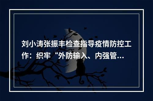 刘小涛张振丰检查指导疫情防控工作：织牢“外防输入、内强管控”严密防线