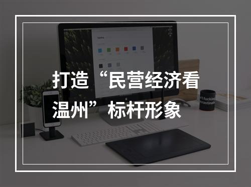 打造“民营经济看温州”标杆形象