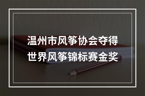 温州市风筝协会夺得世界风筝锦标赛金奖