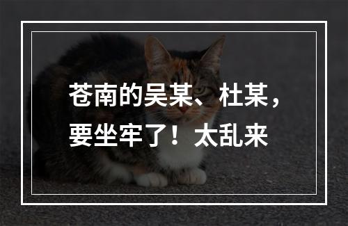 苍南的吴某、杜某，要坐牢了！太乱来