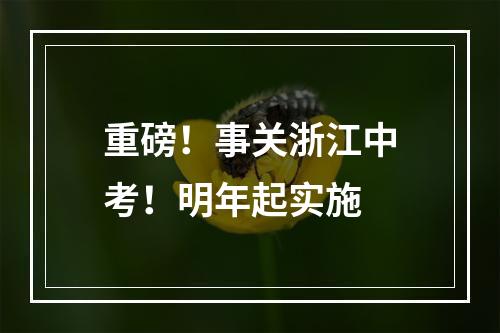 重磅！事关浙江中考！明年起实施