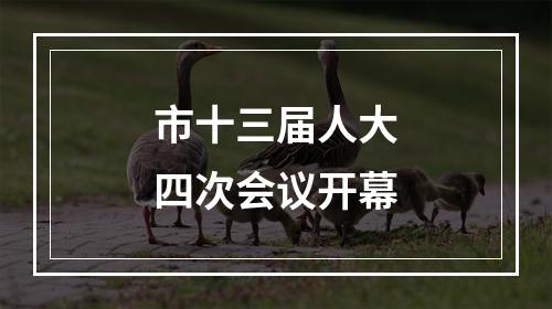 市十三届人大四次会议开幕