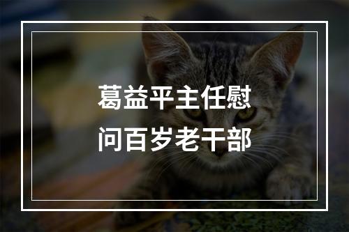 葛益平主任慰问百岁老干部