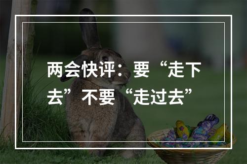 两会快评：要“走下去”不要“走过去”