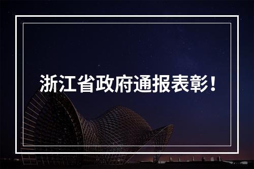 浙江省政府通报表彰！