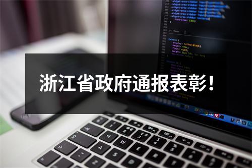浙江省政府通报表彰！