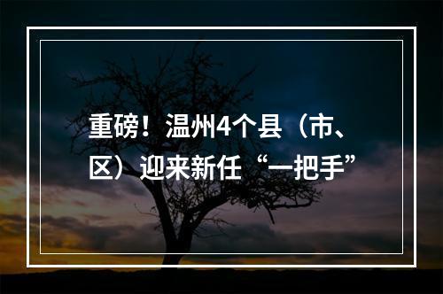 重磅！温州4个县（市、区）迎来新任“一把手”