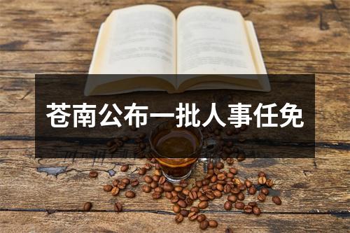 苍南公布一批人事任免