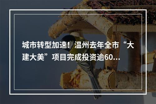 城市转型加速！温州去年全市“大建大美”项目完成投资逾600亿元