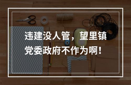 违建没人管，望里镇党委政府不作为啊！