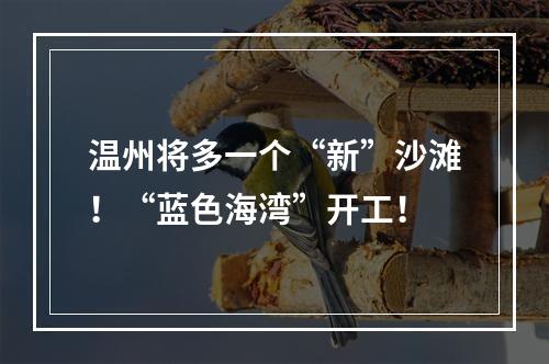 温州将多一个“新”沙滩！“蓝色海湾”开工！