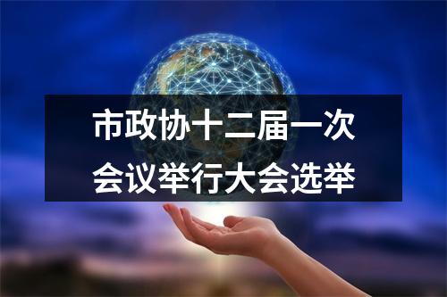 市政协十二届一次会议举行大会选举