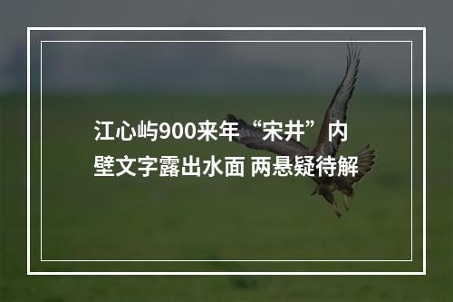 江心屿900来年“宋井”内壁文字露出水面 两悬疑待解