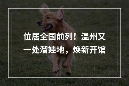 位居全国前列！温州又一处溜娃地，焕新开馆