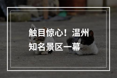 触目惊心！温州知名景区一幕
