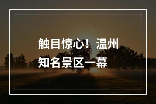 触目惊心！温州知名景区一幕