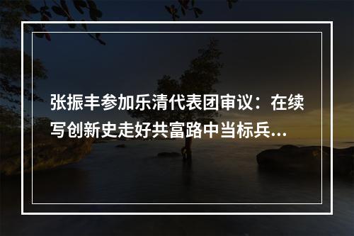 张振丰参加乐清代表团审议：在续写创新史走好共富路中当标兵走前列