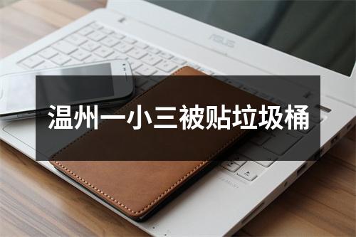 温州一小三被贴垃圾桶