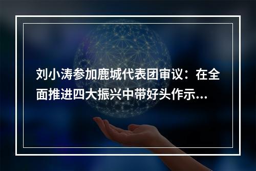 刘小涛参加鹿城代表团审议：在全面推进四大振兴中带好头作示范