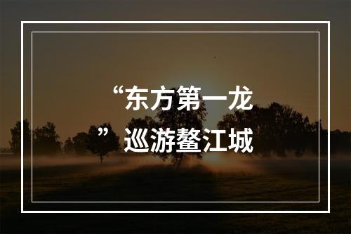 “东方第一龙”巡游鳌江城