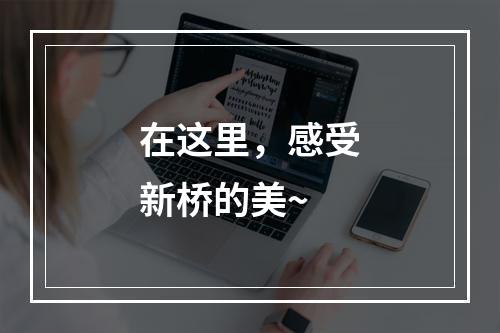 在这里，感受新桥的美~