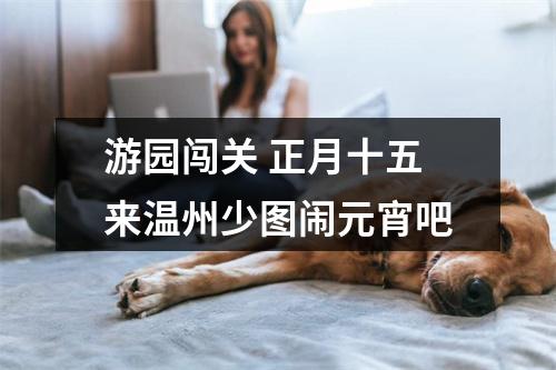 游园闯关 正月十五来温州少图闹元宵吧