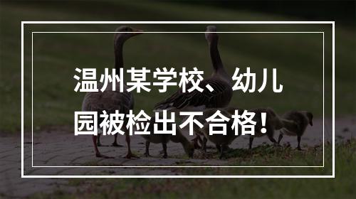 温州某学校、幼儿园被检出不合格！