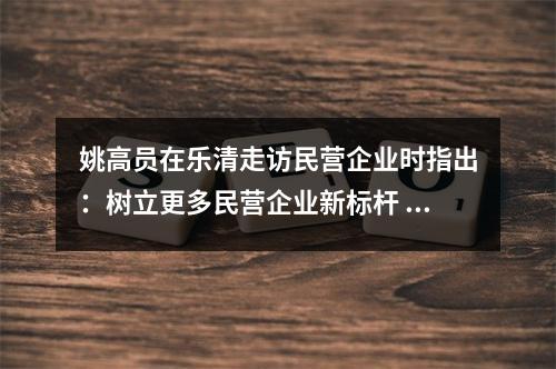 姚高员在乐清走访民营企业时指出：树立更多民营企业新标杆 推动民营经济高质量发展
