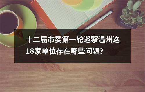 十二届市委第一轮巡察温州这18家单位存在哪些问题？
