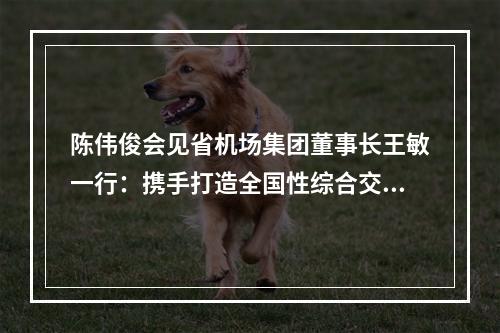 陈伟俊会见省机场集团董事长王敏一行：携手打造全国性综合交通枢纽