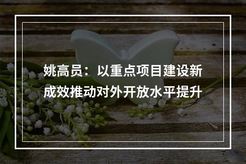 姚高员：以重点项目建设新成效推动对外开放水平提升