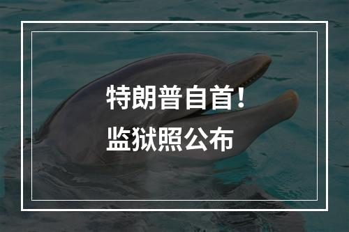 特朗普自首！监狱照公布