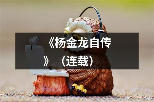 《杨金龙自传》（连载）